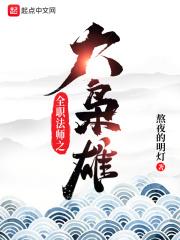 全职法师之大枭雄